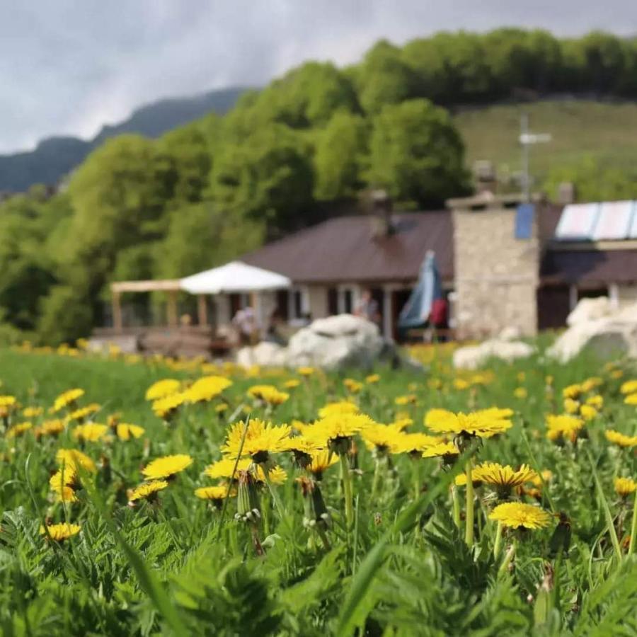 Rifugio Baita Fos-Ce 브렌토니코 외부 사진